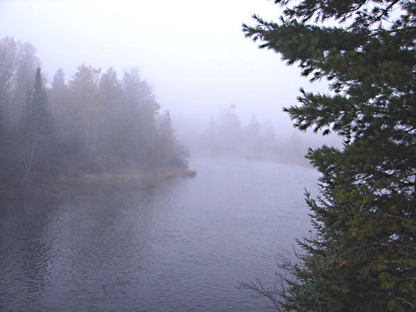 wilderness scene