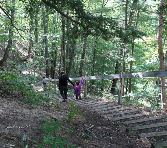 gorge stairs