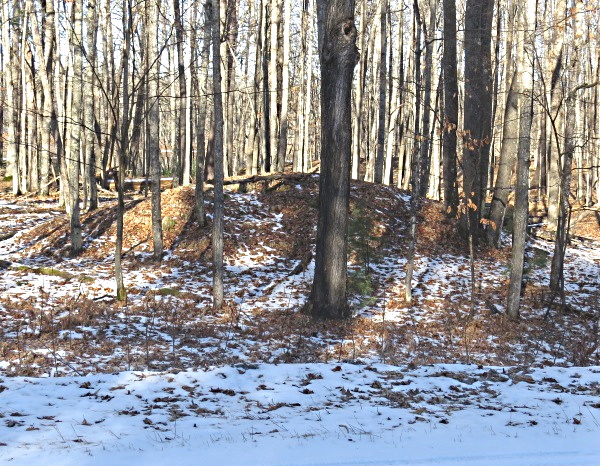 burial mound