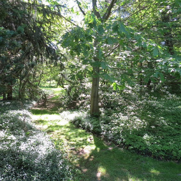 Westcroft Botanical Gardens