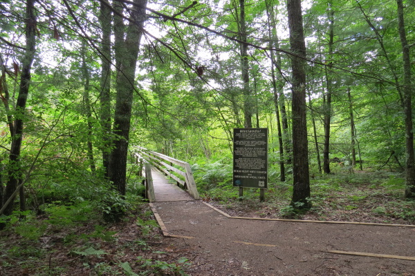 Loda Wildflower Sanctuary