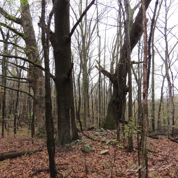 burial mound