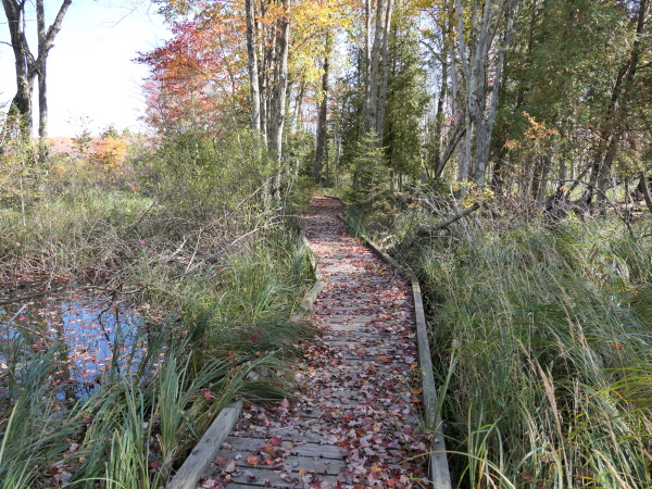 Nahma Marsh Trail