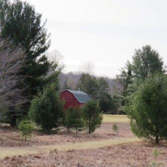 postle farm trail barn