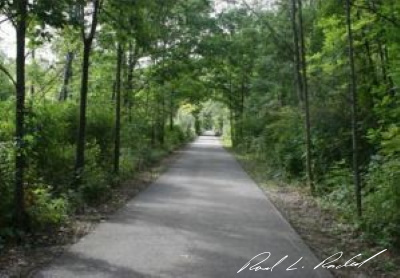 trail picture