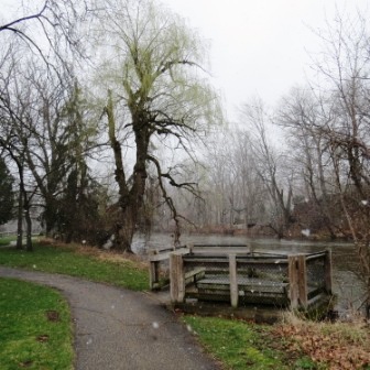 thornapple trail